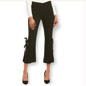NWT Tyler Boe Velvet Velour Pants